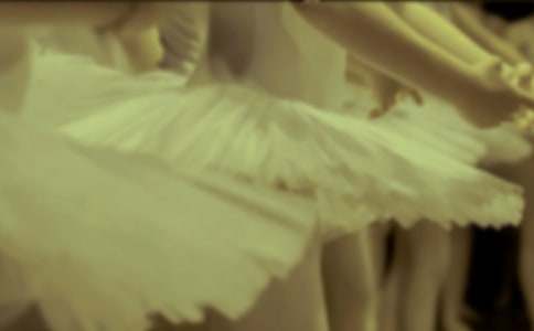 �P�ڰ��ٵ�����