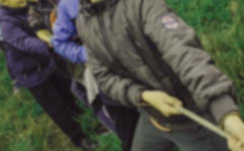 一場精彩的拔河比賽作文