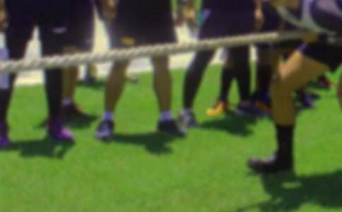 (精品)關(guān)于拔河比賽的作文15篇