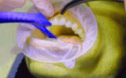 ������(j��ng)�v����