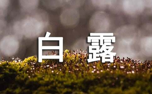 關(guān)于白露的文案