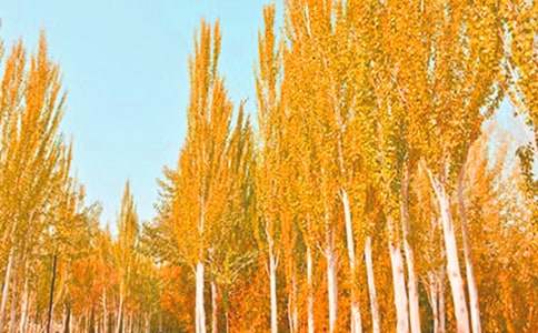 �ח�Yٝ�u�n�塾ͨ�á�