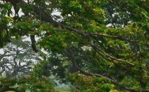 �n�İח�̌W����O(sh��)Ӌ