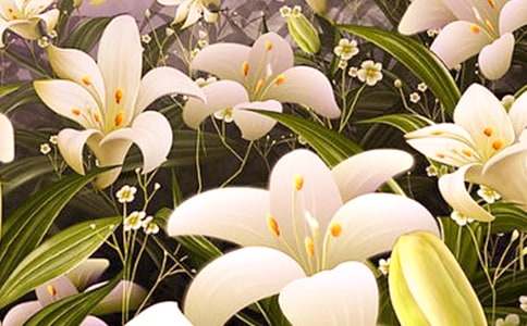 廢舊易拉罐手工制作百合花步驟