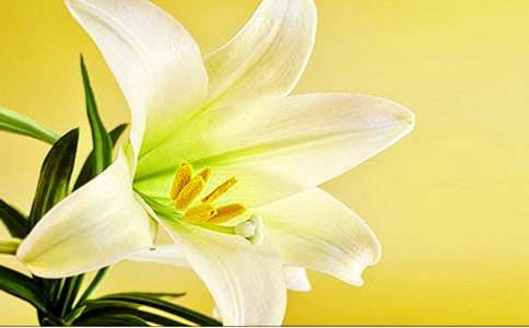 �x��־�N�ٺϻ��и�