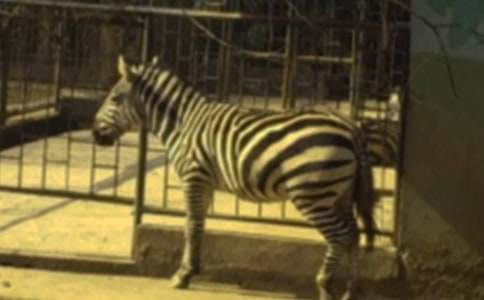 ���R�������߿Ƽ���ͨ��ȡ��