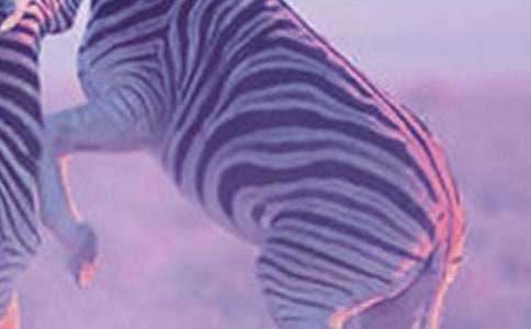 С���C�����R��(ch��ng)Ԣ�Թ���