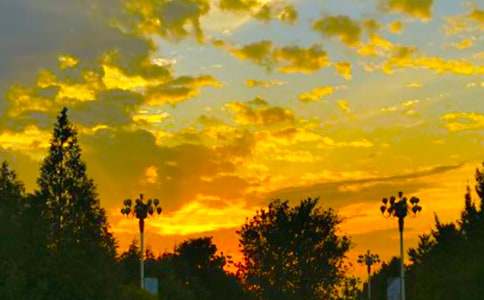 �����l����Ȧ�İ�