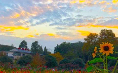 �����Ĺ��@����