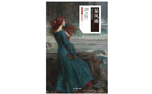 (合集)暴風(fēng)雨的作文