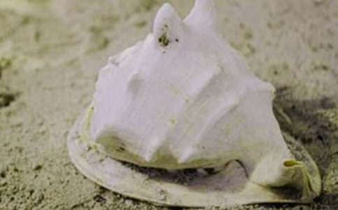 �P��ؐ������