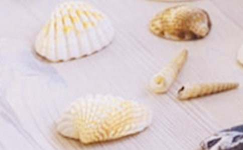 ؐ�������Ĵ�ȫ15ƪ