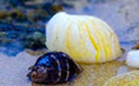 ؐ������x��