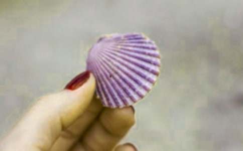 ؐ��ϯĽ����x��