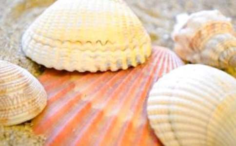 ʰؐ������