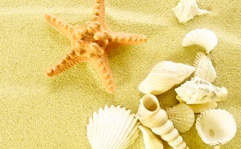 ؐ��֮���u(p��ng)�n��