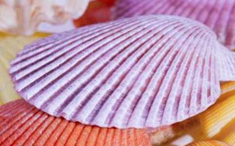 ؐ�����`����