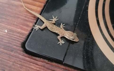 ��С�ڻ���β�͡��̌W�OӋ15ƪ�����á�