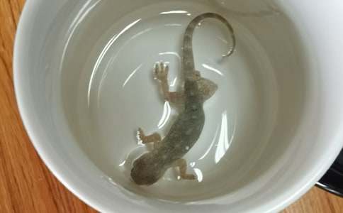 ��С�ڻ���β�͡��u�n��ͨ��