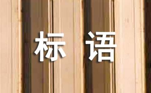 精企業(yè)管理標(biāo)語
