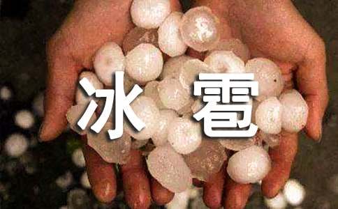 ����W������Ҋ����