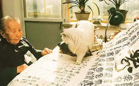 ������Ʒ���x���