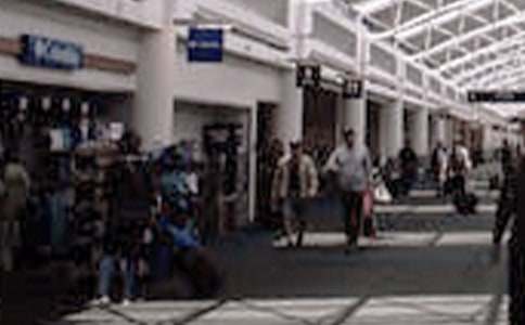 游美食的天堂——農(nóng)業(yè)博覽會(huì)-敘事作文550字 四年級(jí)作文范文