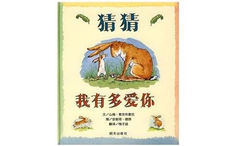 猜猜我有多愛你讀后感(合集15篇)
