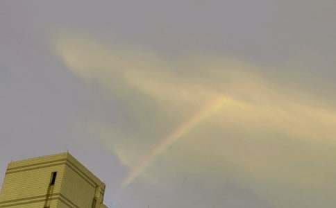 �ʺ�С�W(xu��)����