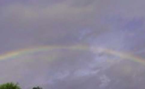 關(guān)于制作彩虹作文6篇