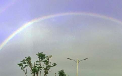 《彩虹鴿》讀后感(通用15篇)