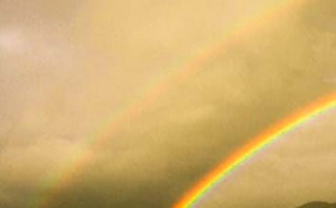 (集合)心中的彩虹作文