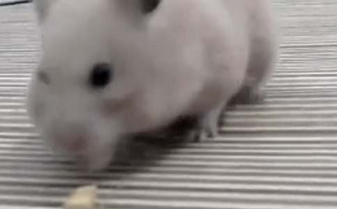 �ҼҵĂ}(c��ng)������