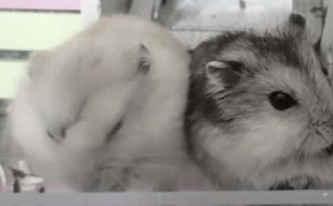 �}(c��ng)�������