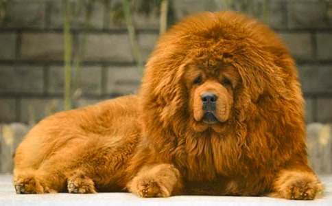 �x������ɻ꡷�и�18ƪ