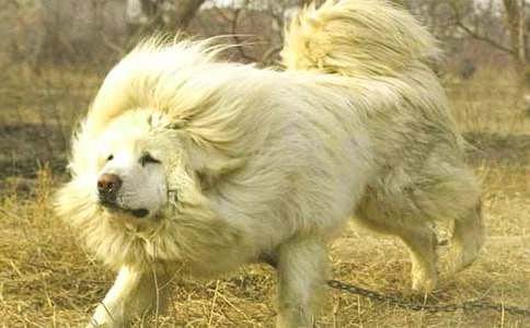 �x������ɻ꡷�и�