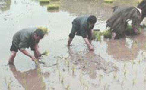 �W�r���w�֮��������