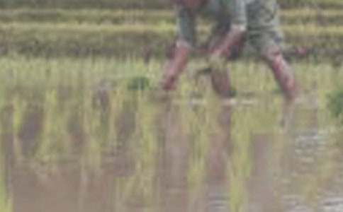 �n�ġ��������Ľ̌W��˼