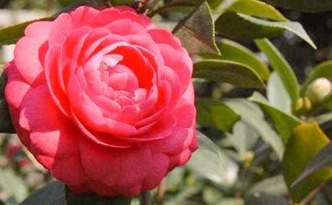 �軨���Bֳ������ע�����