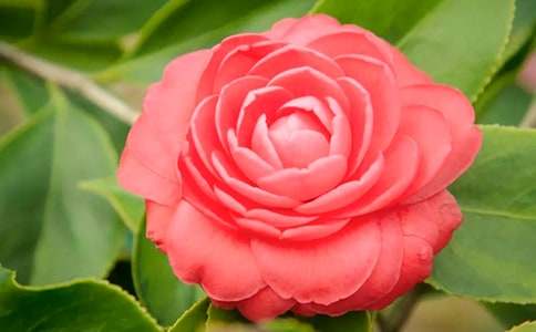 ɽ�軨���ģ���(y��u)�x15ƪ��