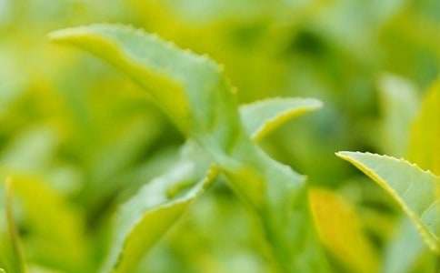 �ҳ����ǲ��~��������