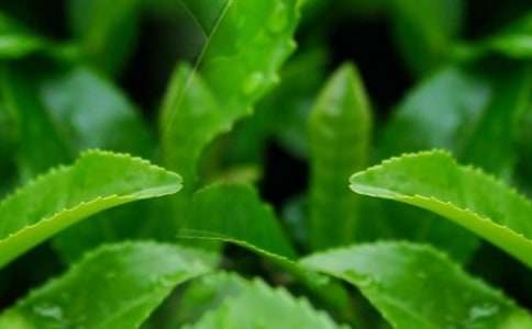 ���N���~�V���Z6ƪ