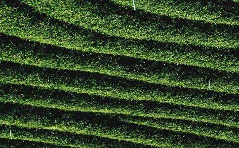 �a(ch��n)Ʒ���~ί�мӹ���ͬ��