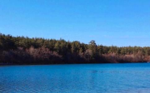 �L��ɽ����