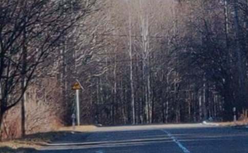 �L(zh��ng)��ɽ֮������10ƪ�����ϣ�