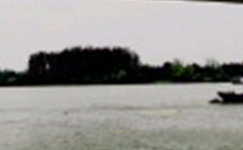 觀《長(zhǎng)江七號(hào)》有感