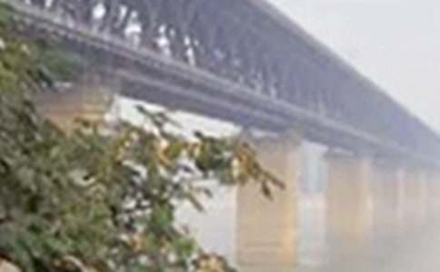 �ƴ��P(gu��n)���L���Ĺ�Ԋ