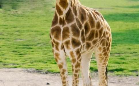 ���L�i¹���x���