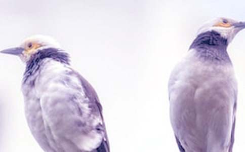 ���ܵ��ľ߂�����