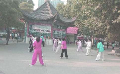 晨練小學(xué)作文